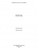 Determinantes para el consumidor