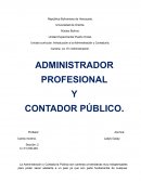Administrador profesional y contador