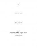 Brief. The world of fashion