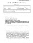 Evaluación Final de Psicología Organizacional (Caso Cullen)