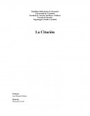 Apuntes de criminologia. La Citación