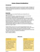 Choques Paradigmáticos