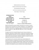 Venezuela democratica