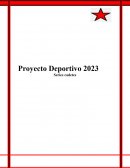 Proyecto deportivo.Series cadetes