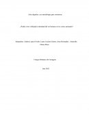 ¿Podria verse reflejada la identidad del se humano en los cortes animados?