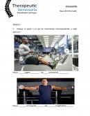 Evaluación Base del Entrenador