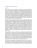 Sacrificio Humanitario en Cerdos