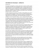 Informe de trabajo – Diprove