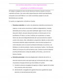 Los centros educativos como organizaciones