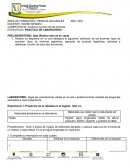 Práctica de laboratorio. Función de las enzimas