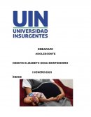 Embarazo adolescente