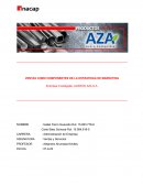 Empresa Investigada: ACEROS AZA S.A
