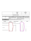 Formato caracterizacion comercial