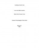 Guadalupe Salcedo Unda