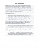 Los animales
