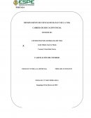 El presente ensayo de prácticas pre profesionales de la carrera de Educación Inicial