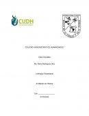 Liderazgo Empresarial. El Método de Obama