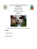 Elaboración de queso fresco con especias