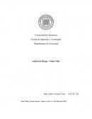 Análisis de Riesgo – Punto Valle