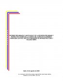 Informe preliminar nº uai/ec/02/2017 de la revisión preliminar y respectivo examen de la cuenta del ejercicio económico financiero