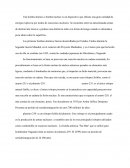 Que contenían las bombas atómicas "little boy" y "fat man"