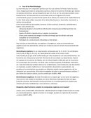 Biomoléculas orgánicas e inorgánicas