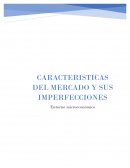 Características del mercado y sus imperfecciones