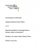 Sistemas Jurídicos Contemporáneos. Ensayo: ¿Qué es la justicia?