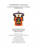 Desarrollo de Emprendedores Empresa: Mochi-Chamarra impermeable