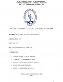 Práctica calificada: Análisis del caso Isabel Díaz Uriarte