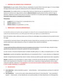 Anatomia del apéndice cecal o vermicular