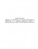 Propuesta de implantación de viviendas multifamiliares y bifamiliarees en el desarrollo habitacional