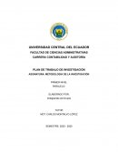 Plan de trabajo de investigación