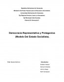 Democracia Representativa y Protagonica (Modelo Del Estado Socialista)