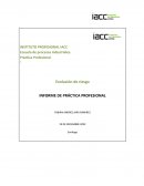 Informe de práctica profesional