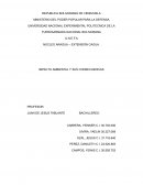 Impacto ambiental y sus consecuencias