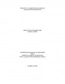 Producto 1: Elementos de un modelo de negocios (entrevistas)