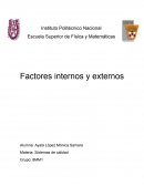 Matriz de evaluación de factores externos
