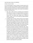 Actividad: Síntesis del análisis