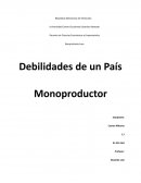 Debilidades de un país monoproductor