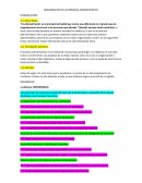 Organización en un proceso administrativo