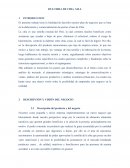 Plan de e-commerce Dulceria de chia S.R.L