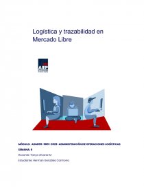 Logística y trazabilidad en Mercado Libre. Página 1