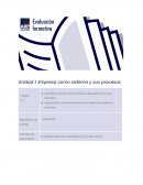 Empresa como sistema y sus procesos.Caso Remolques Caradu