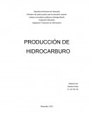 Producción de hidrocarburos