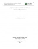 Ideas principales de Unidad 4 Gestión de Transportes y Distribución