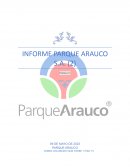 Informe Parque Arauco S.A