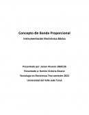 Concepto de Banda Proporcional