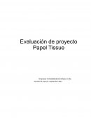 Evaluación de proyecto Papel Tissue