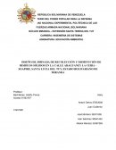 Diseño de jornada de recolección y disminución de risiduos sólidos